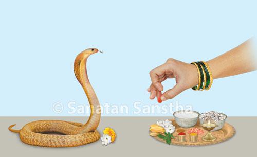 Nagdevata Puja